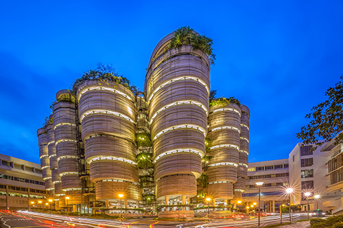 什么是注册新加坡公司自贸区?