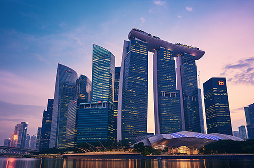 新加坡公司注册后得到的资料